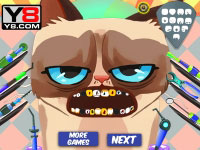 Игра Котики лечат зубки Игра Котики лечат зубки